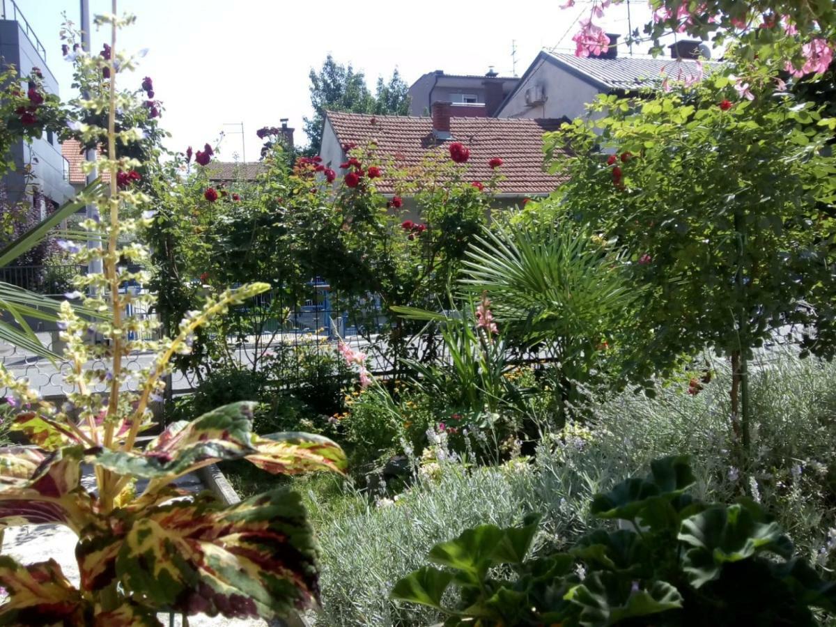 Apartman Teuta Zagreb Exterior foto