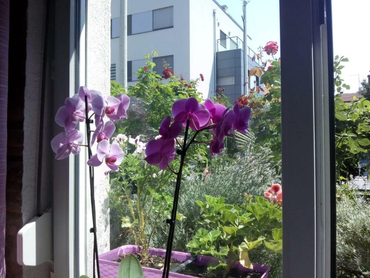 Apartman Teuta Zagreb Exterior foto