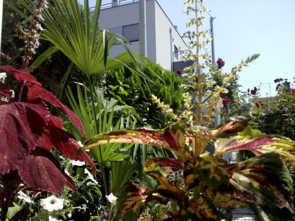 Apartman Teuta Zagreb Exterior foto